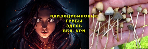 амфетамин Богородск