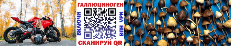 Галлюциногенные грибы Psilocybine cubensis  хочу наркоту  Далматово 